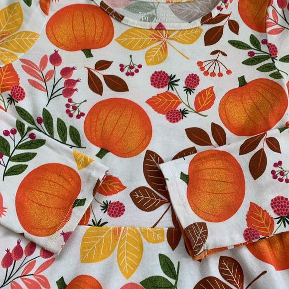 Children’s Place Fall Pumpkins Autumn Print Dress 5T EUC - Picture 6 of 11